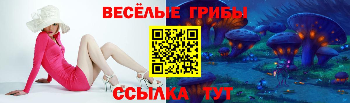 Курганинск  Псилоцибиновые грибы мухоморы  цены наркотик  Вход с VPN 